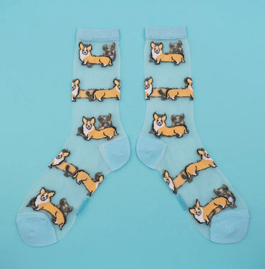 Chaussettes Transparentes Corgi